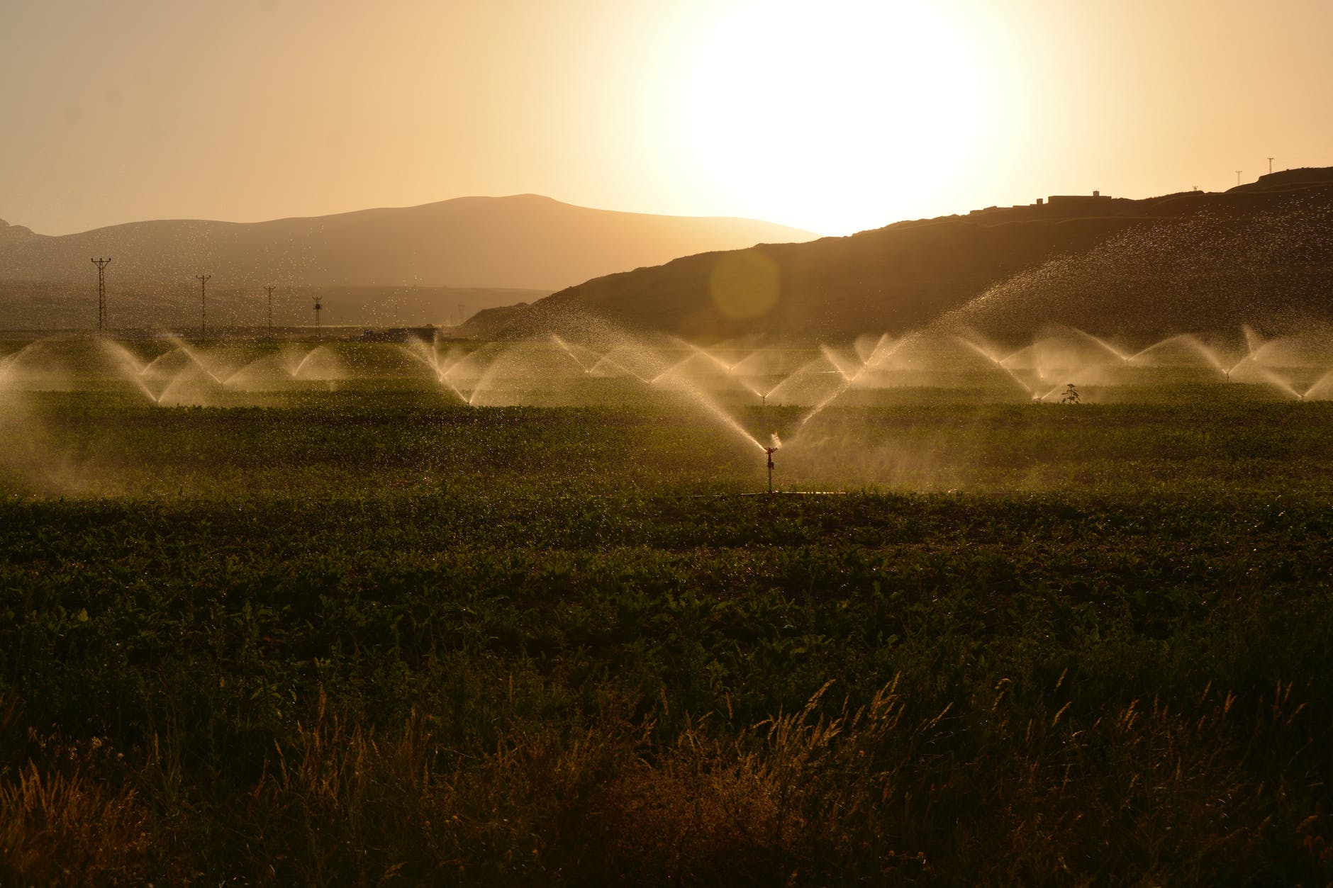 Smart Agro Riego Agrícola