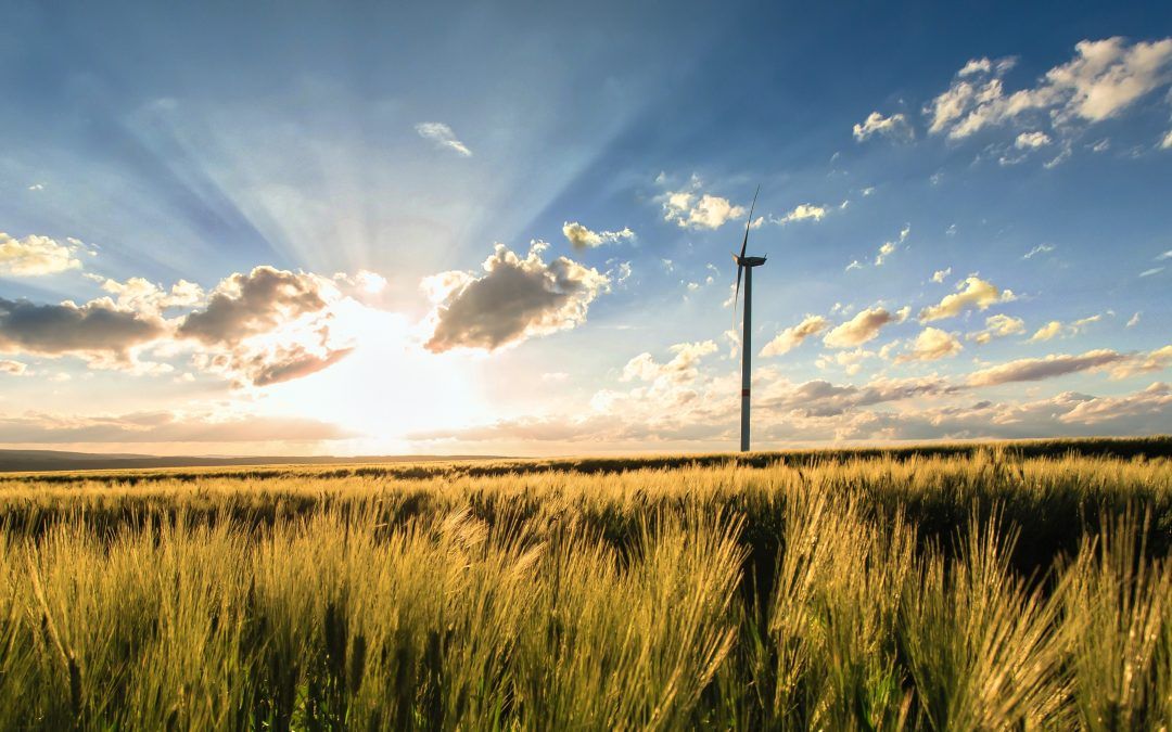 Cómo conseguir Ahorro Energético en la Agricultura